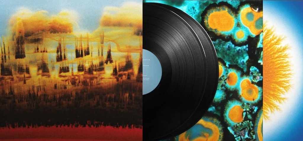 DISTANCE IN STATIC - VINYL